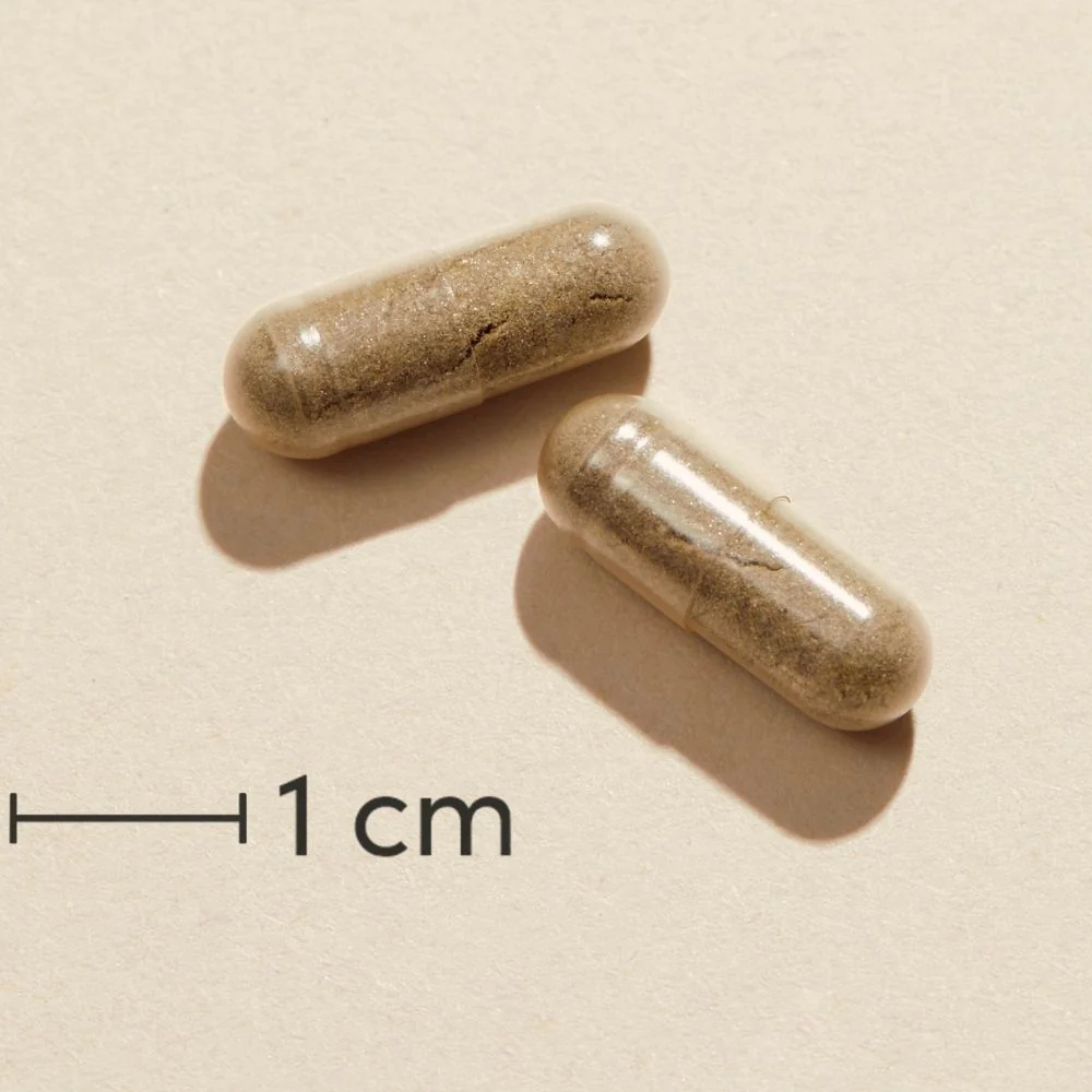 Miniaturebillede 2