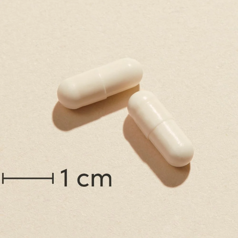 Miniaturebillede 2
